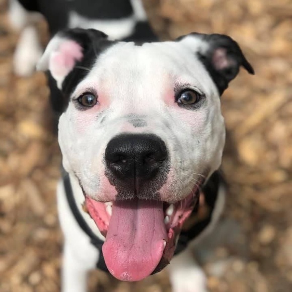 Welcome to POPNCO - Picture 11 of 11